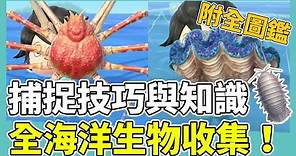 【集合啦！動物森友會】全海洋生物攻略！捕捉技巧解析｜大硨磲、大王具足蟲、高腳蟹｜附全海洋生物圖鑑｜動森攻略