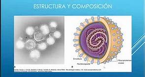 Microbiología II Micología y Virología C3: Orthomyxoviridae (Ortomixovirus)