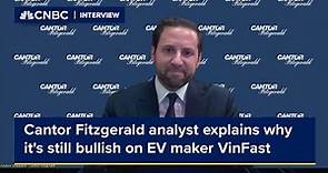 Cantor Fitzgerald analyst explains why it's still bullish on EV maker VinFast