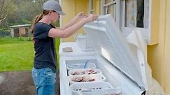 How do you organize your large chest freezer? * * * This is how we organize ours! 🥩 | Walter’s Farm