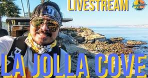 LA JOLLA COVE LIVE STREAM - San Diego, California Walking Tour