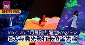 暑假好去處｜teamLab 7月登陸九龍灣MegaBox 6大互動光影打卡位率先睇