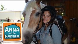 Pferd | Information für Kinder | Anna und die Haustiere