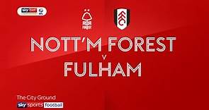 Nottingham Forest 0-1 Fulham: Harry Arter secures valuable win for Scott Parker's men