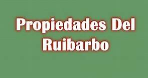 Propiedades Del Ruibarbo, Propiedades Medicinales y Curativas