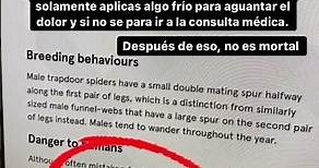 Animales peligroso en Australia: Temporada de arañas Sydney Brown Trapdoor Spider #Shorts