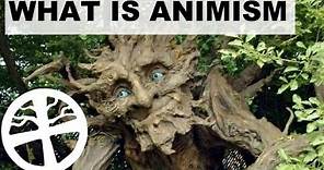 What is Animism