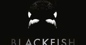 Blackfish - Official Trailer