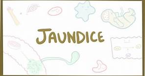 Jaundice - causes, treatment & pathology