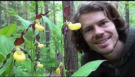Seltene wilde Orchideen - Mystische Schönheiten