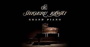 Shigeru Kawai - Evolving The Piano