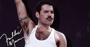 Freddie Mercury 1946-1991
