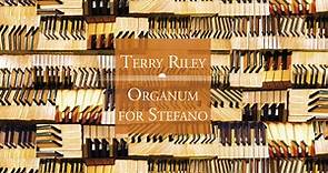 Terry Riley - Organum For Stefano