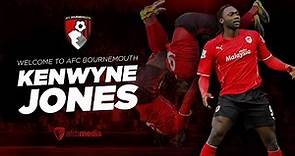 New signing | AFC Bournemouth's Kenwyne Jones in action for Cardiff City