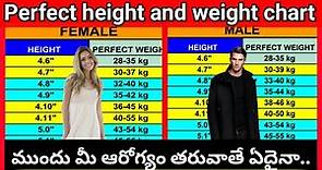 Perfect height and weight chart | Adult male and female | BMI