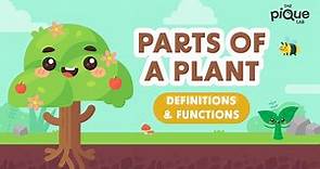 Parts Of A Plant: Definitions & Functions | Primary School Science Animation
