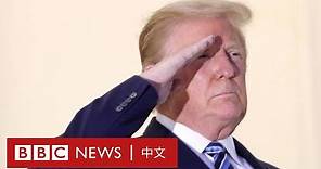 特朗普4年來的出位言行及爭議政策－ BBC News 中文