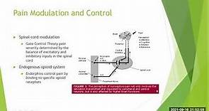 Central Pain Pathways and Pain Modulation