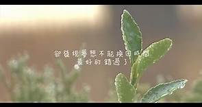 林二汶 Eman Lam - 《只怕不夠時間看你白頭》Official MV