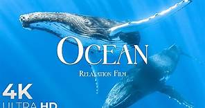 The Ocean (4K UltraHD)- Relaxation Film - Peaceful Relaxing Music - 4k Video UltraHD