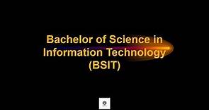 Bachelor of Science in Information Technology (BSIT)