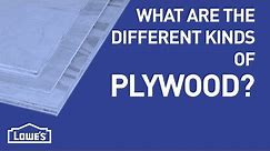 Which Plywood Should I Use? | DIY Basics