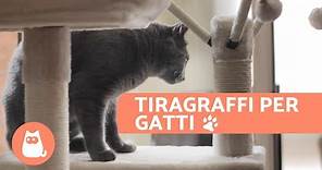 Tiragraffi per gatti - Vantaggi e dove posizionarlo
