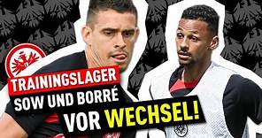 So soll der Kader von Eintracht Frankfurt aussehen | Bundesliga News