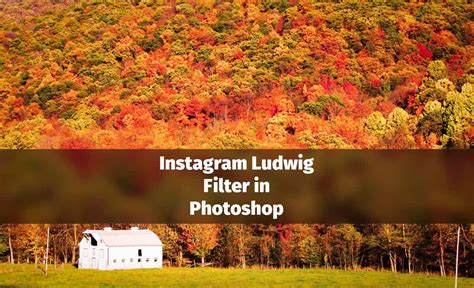 Ludwig Filter