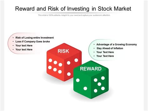 Risks and Rewards of Investing in the Project