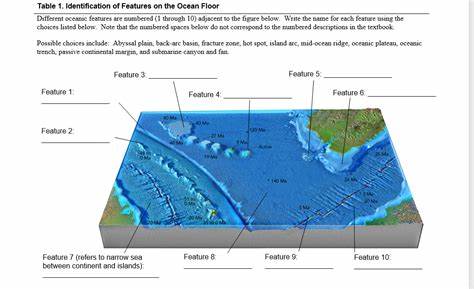 Identification of Features Image