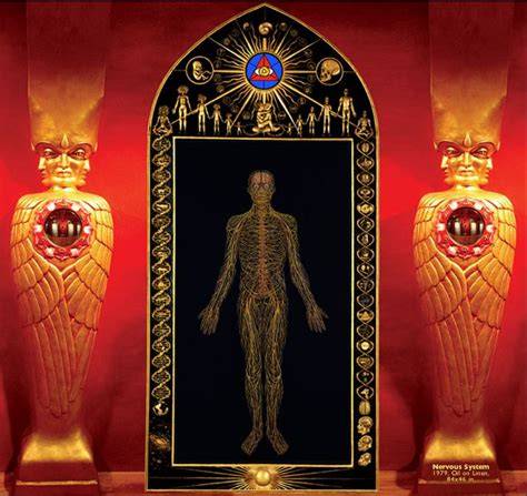 Alex Grey