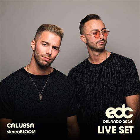 Calussa