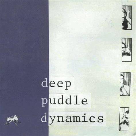 Deep Puddle Dynamics