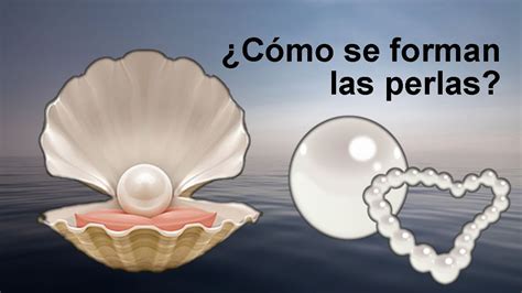 El Perla
