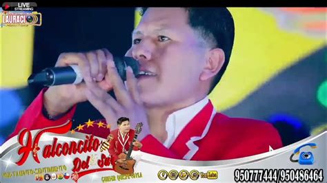 Halconcito Del Sur 2025