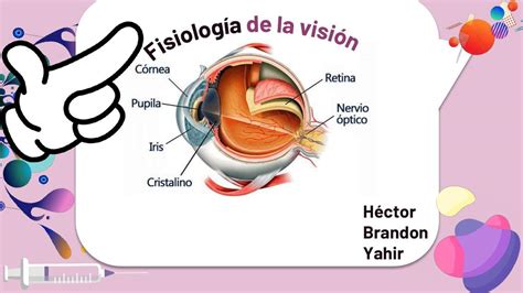 La Vision