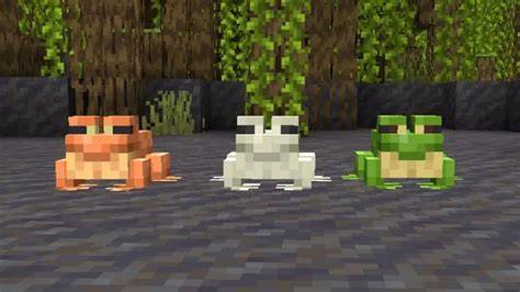 MC Frog