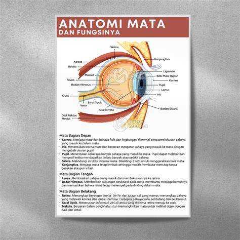 Mata