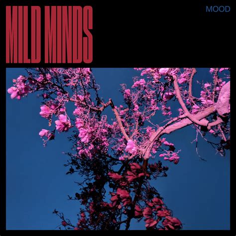 Mild Minds