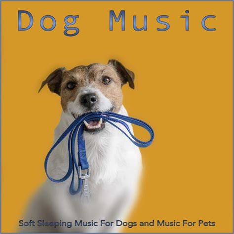 Music For Dogs Ears