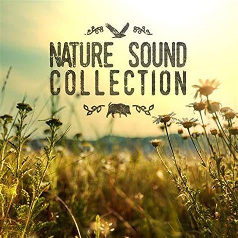 Nature Sound Collection