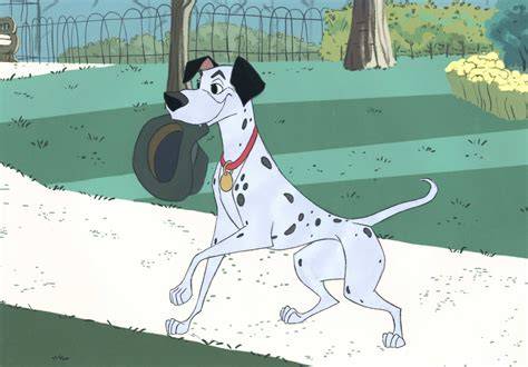 Pongo