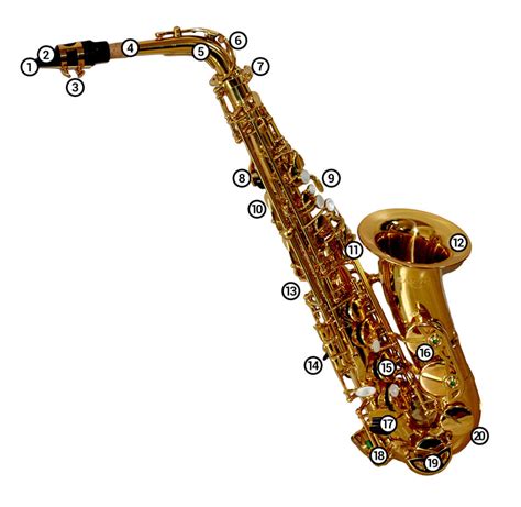 Saxophone 2024