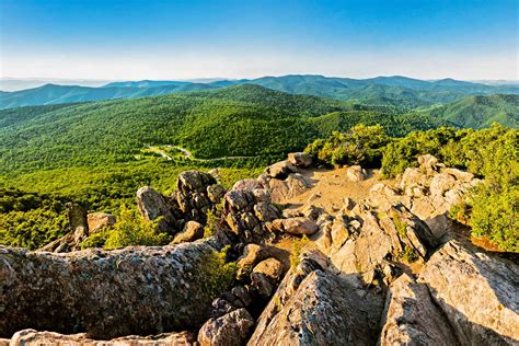 Shenandoah
