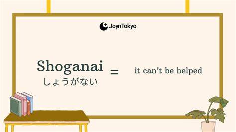 Shoganai