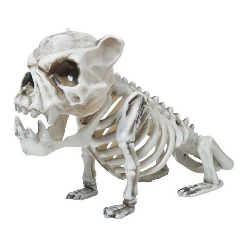 Skele