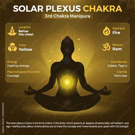 Solar Body