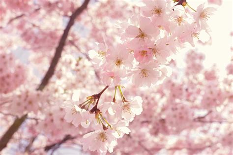 Spring in July