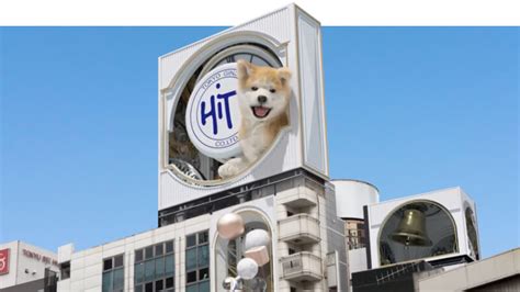 The Hit Co.